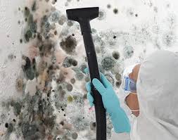 Mold Removal for HVAC Installations